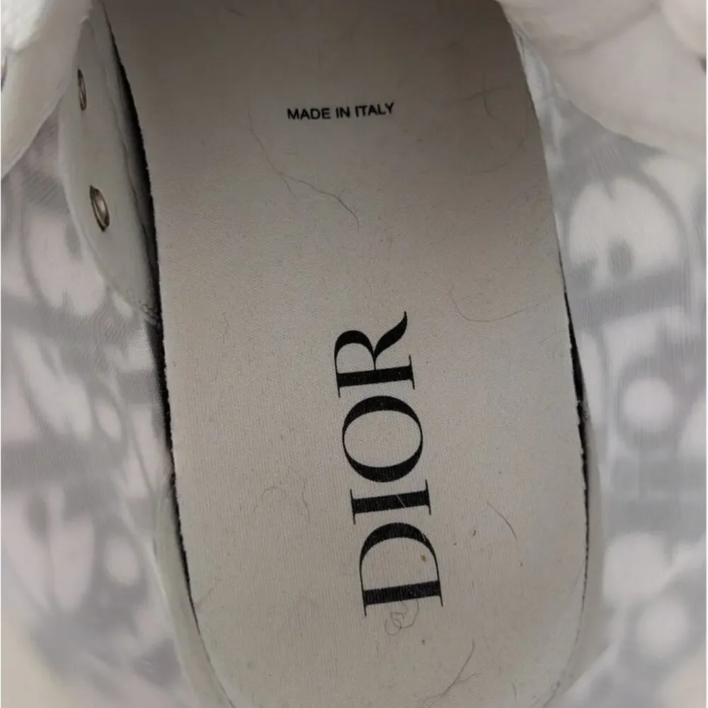 Dior b23 oblique